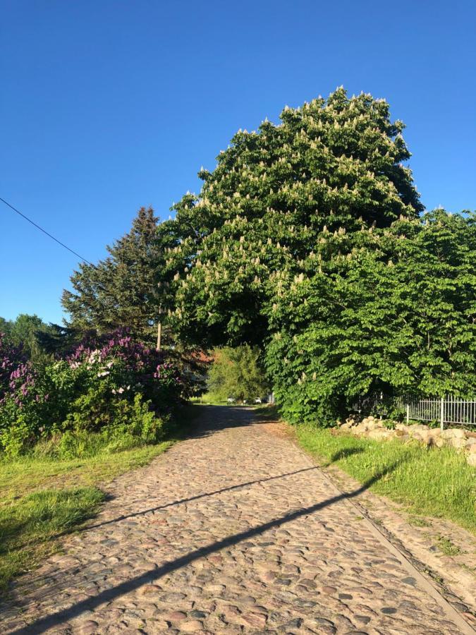 Apartament Gutshaus Alt-Jargenow Alt Jargenow Zewnętrze zdjęcie
