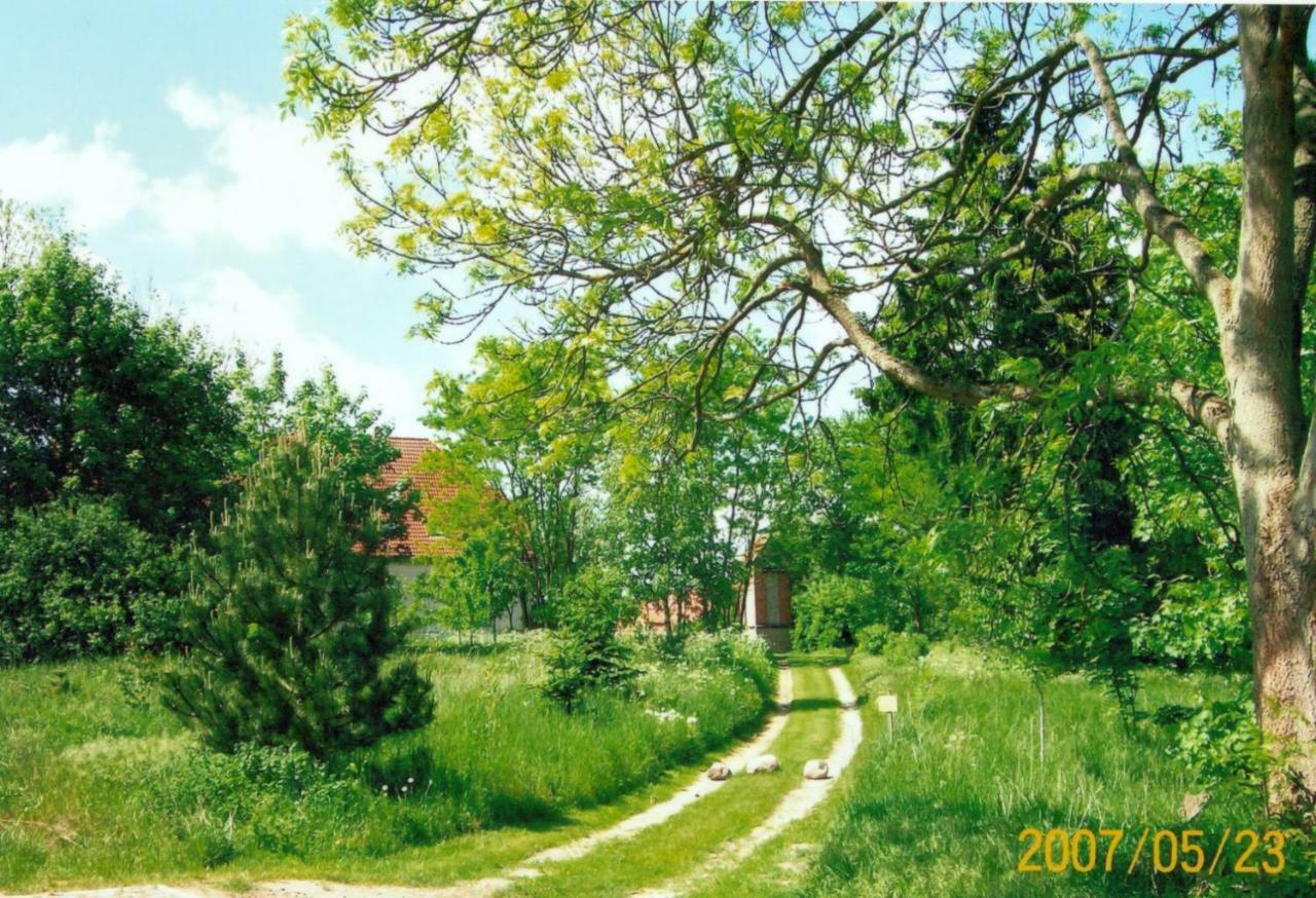 Apartament Gutshaus Alt-Jargenow Alt Jargenow Zewnętrze zdjęcie